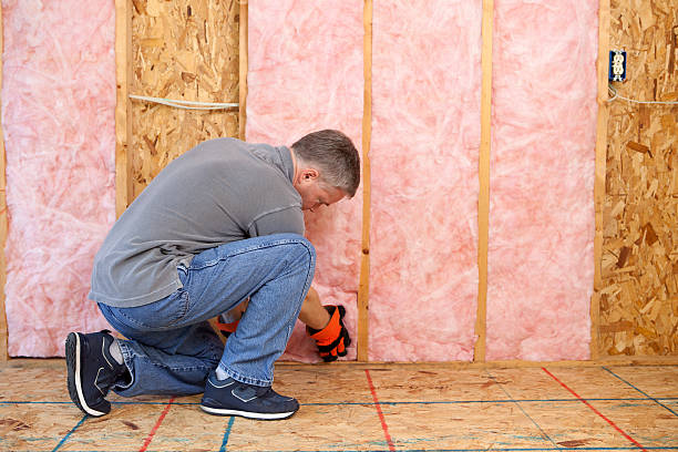 Best Insulation for New Construction  in Poulsbo, WA