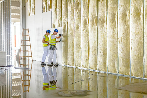 Best Local Insulation Services  in Poulsbo, WA